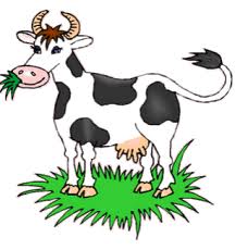 Investir dans une vache laitière : un investissement sûr, rentable et socialement responsable !